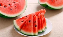 善堂网红吃瓜视频大全播放,揭秘娱乐圈幕后真相